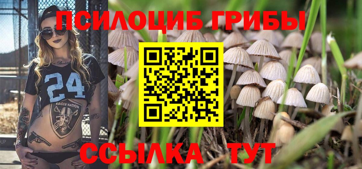 Псилоцибиновые грибы Magic Shrooms Заречный